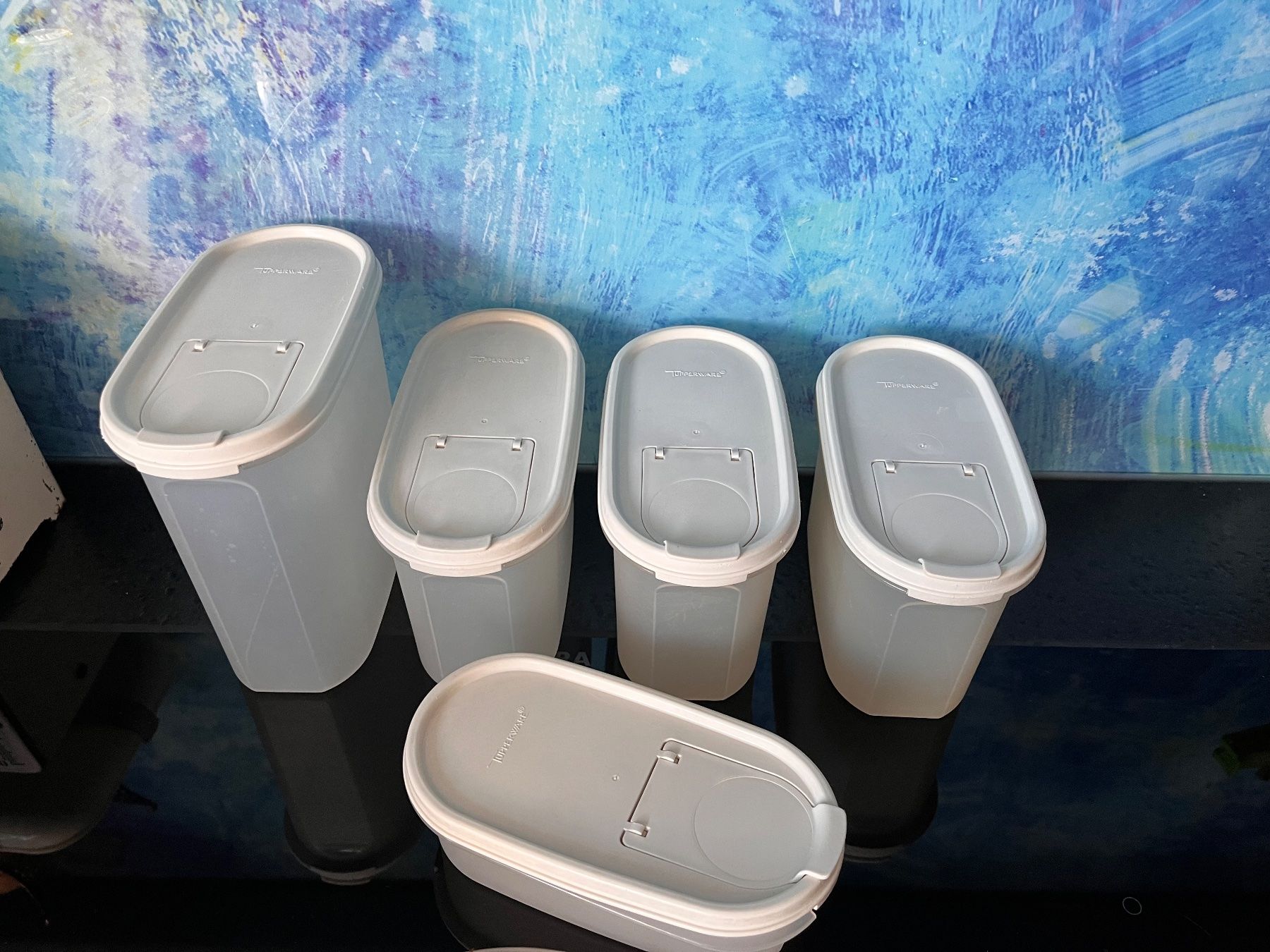 Tupperware Contenitori & Simili: Tupperware Vorratsbehälter Tupper Behälter Küchenartikel – Usato da Frauenfeld venduto da Babytimmy 2
