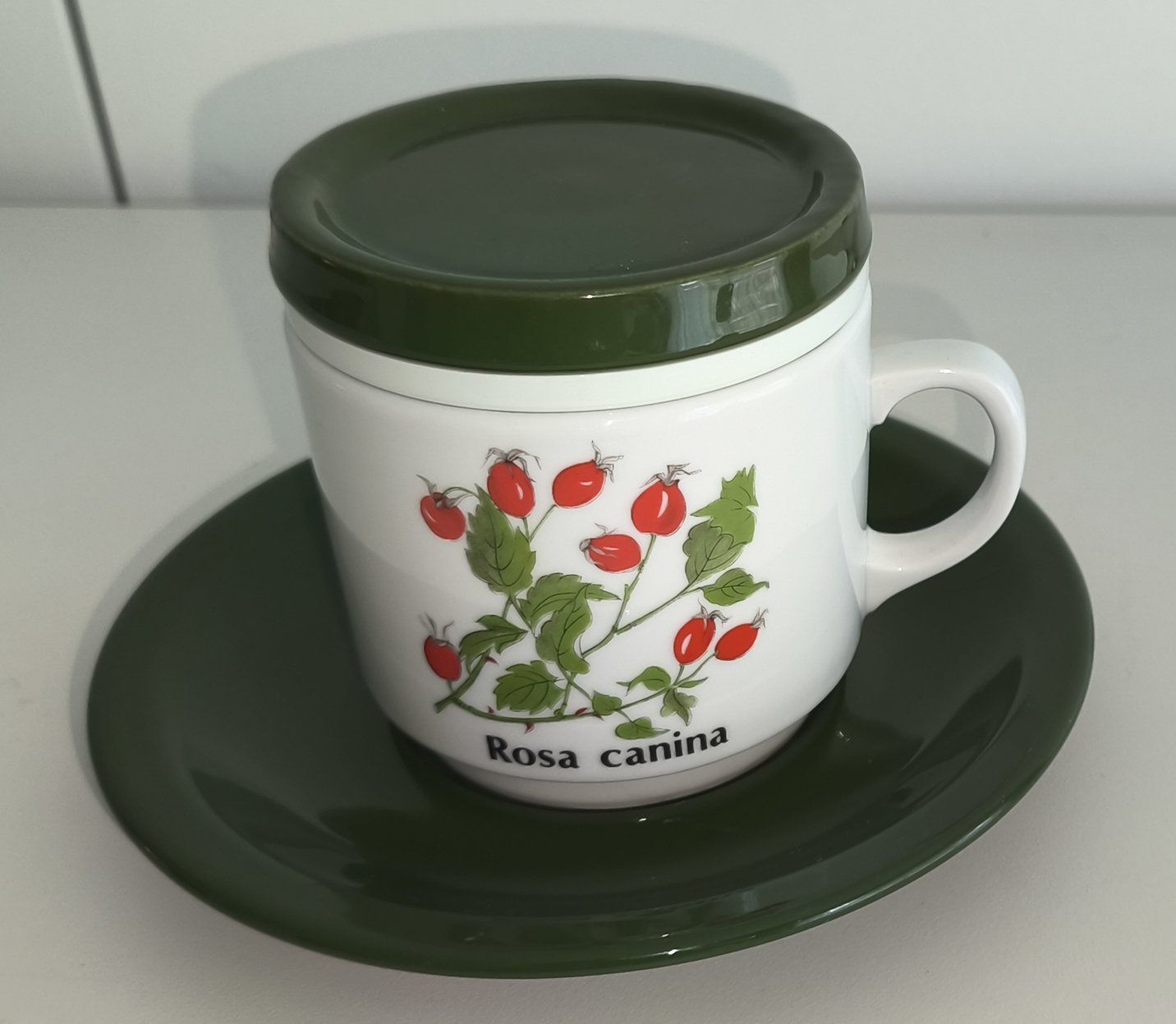 Tazze: Teetasse mit Sieb und Deckel – Usato da Hagendorn venduto da Thom.74