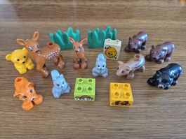 Duplo Set Waldtiere (Y369)
