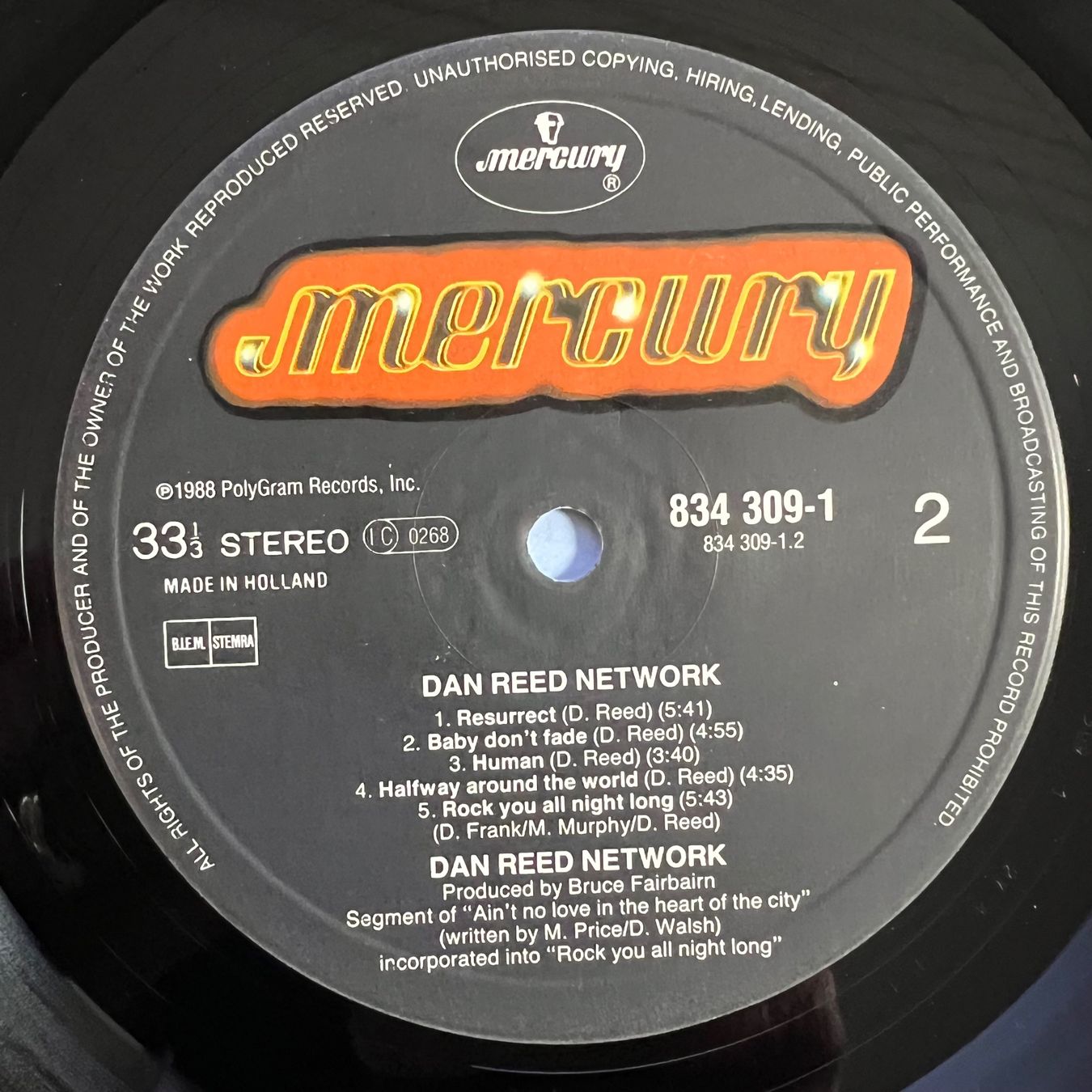 Vinyles: Dan Reed Network - Same / 1. NL-Press. 1988 - Very nice Copy – D'occasion à Gais par soundcave57 4
