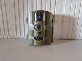 Wildkamera Fotofalle Bear Step