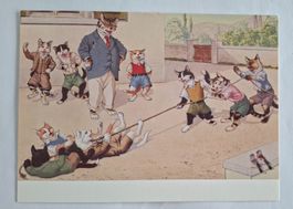 AK Katzen Katzenkarte Nr. 226