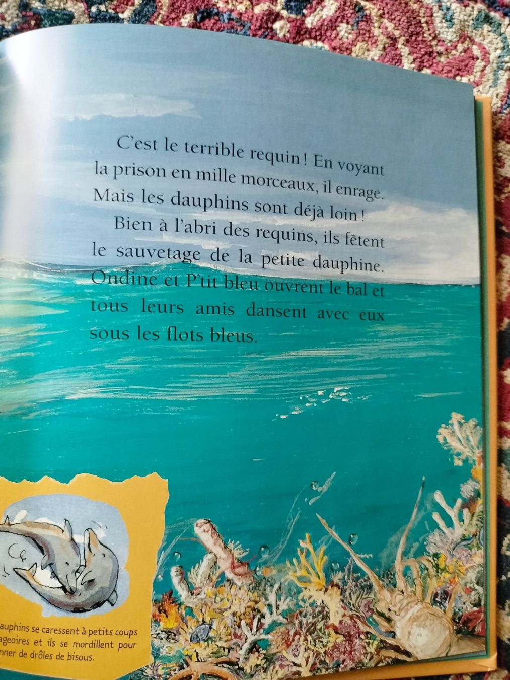 Libri: Le Dauphin Mymi Doinet Nathan – Usato da Cortaillod venduto da rozinna 7