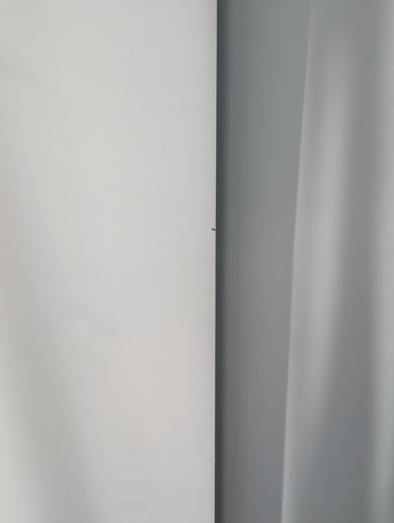Pax Schrank mit top Innenausstattung + neuer Rückwand Kaufen auf Ricardo