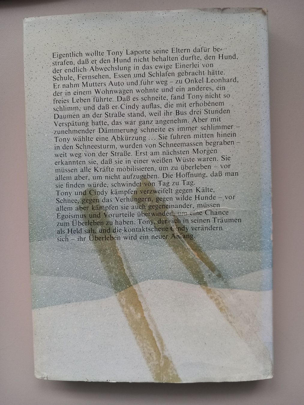 Libri: 3 spannende Abenteuer / eine 1. Auflage – Usato da Lindau venduto da san_kg2j 7