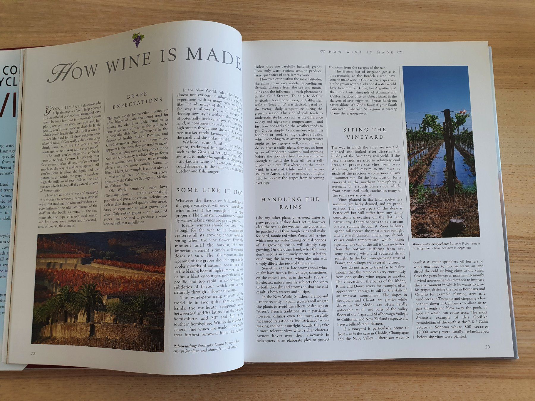 Libri: The Complete Encyclopedia of Wine - Robert Joseph – Nuovo (secondo la descrizione) da Thun venduto da Zuzi84 9