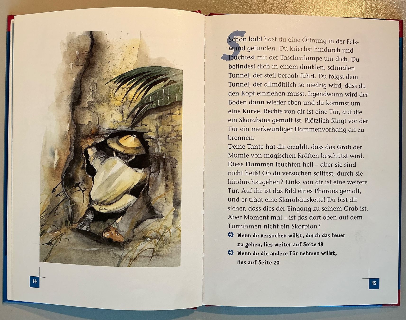 Libri: Abenteuerbuch "Das Grab der Mumie" Ravensburger – Usato da Wil SG venduto da elrawi 1