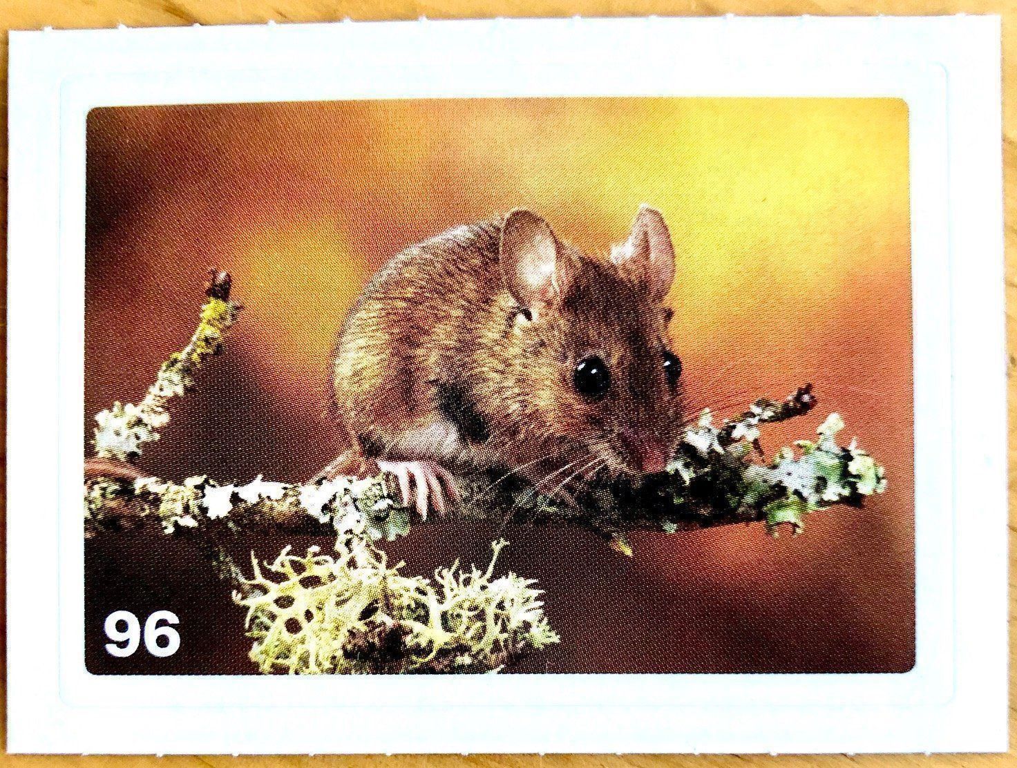 Migros Carte collezionabili: Migros Nature Detectives - Bild Nr. 96 – Nuovo (secondo la descrizione) da Oberrieden venduto da Zimmerberg10