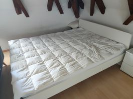 Billerbeck Daunenduvet Minna Clima Light 160x210 (Manor) Act