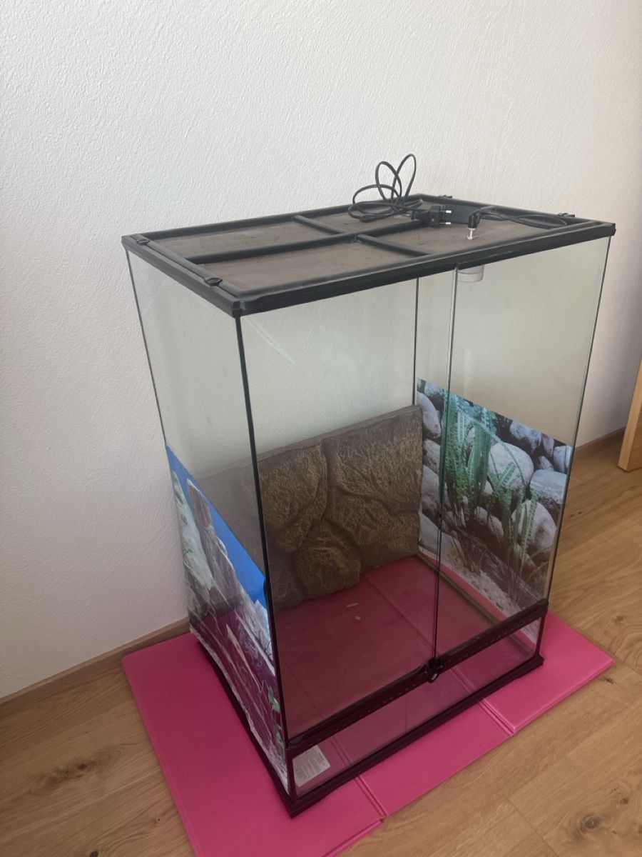 Terrario: Terrarium  – Usato da Chur venduto da Bisq7k 1