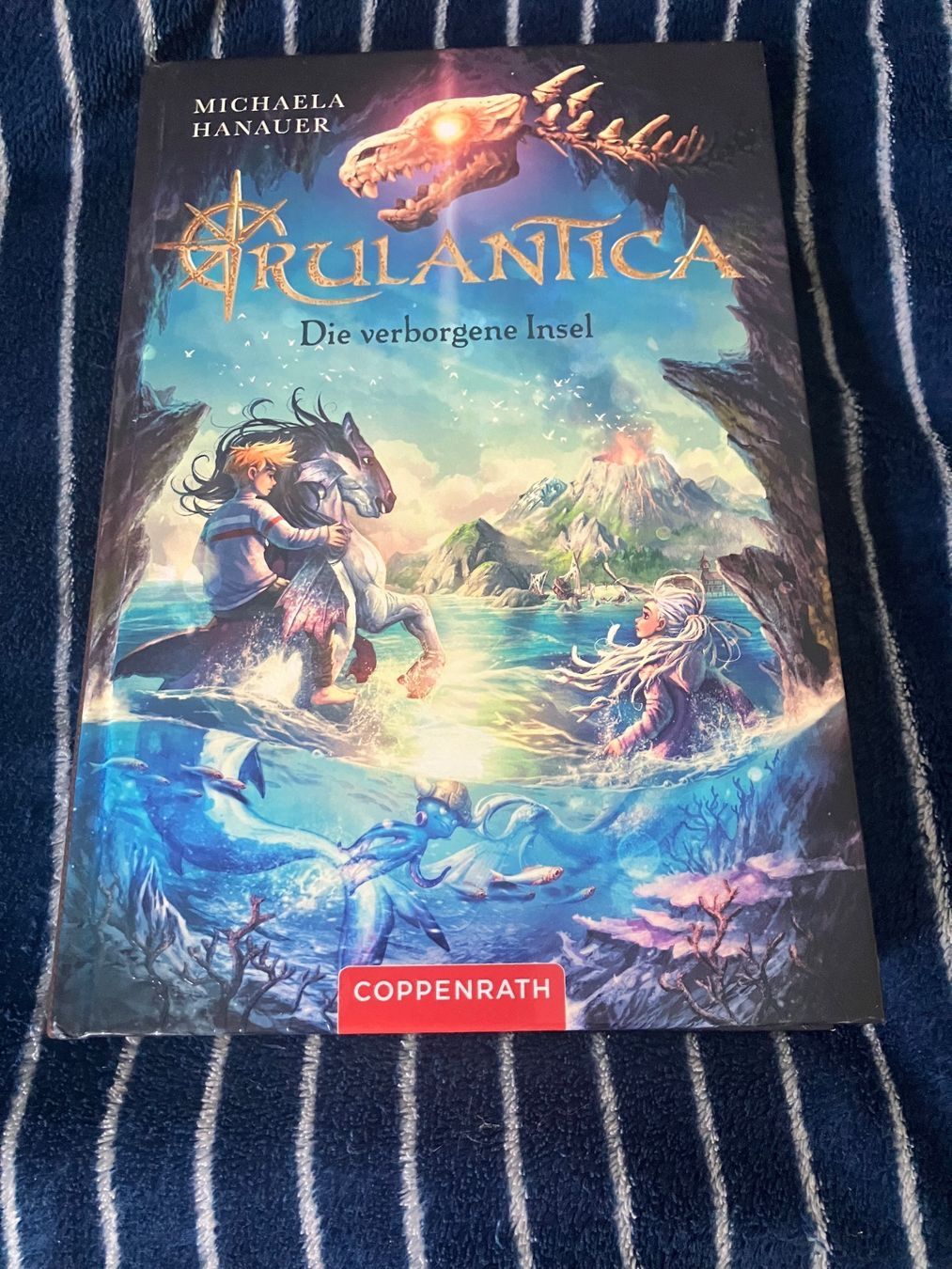 Libri: Rulantica Buch zuverkaufen – Usato da Schönenwerd venduto da JUJANILE