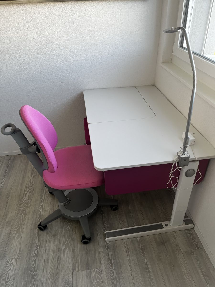 Bureaux: Moll Champion Compact  – D'occasion à Weinfelden par Marco035 1