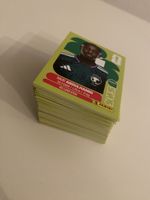 255 Panini Sticker