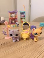 Chats Littlest Pet Shop