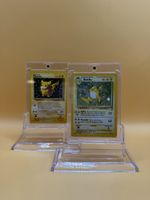 Raichu & Pikachu