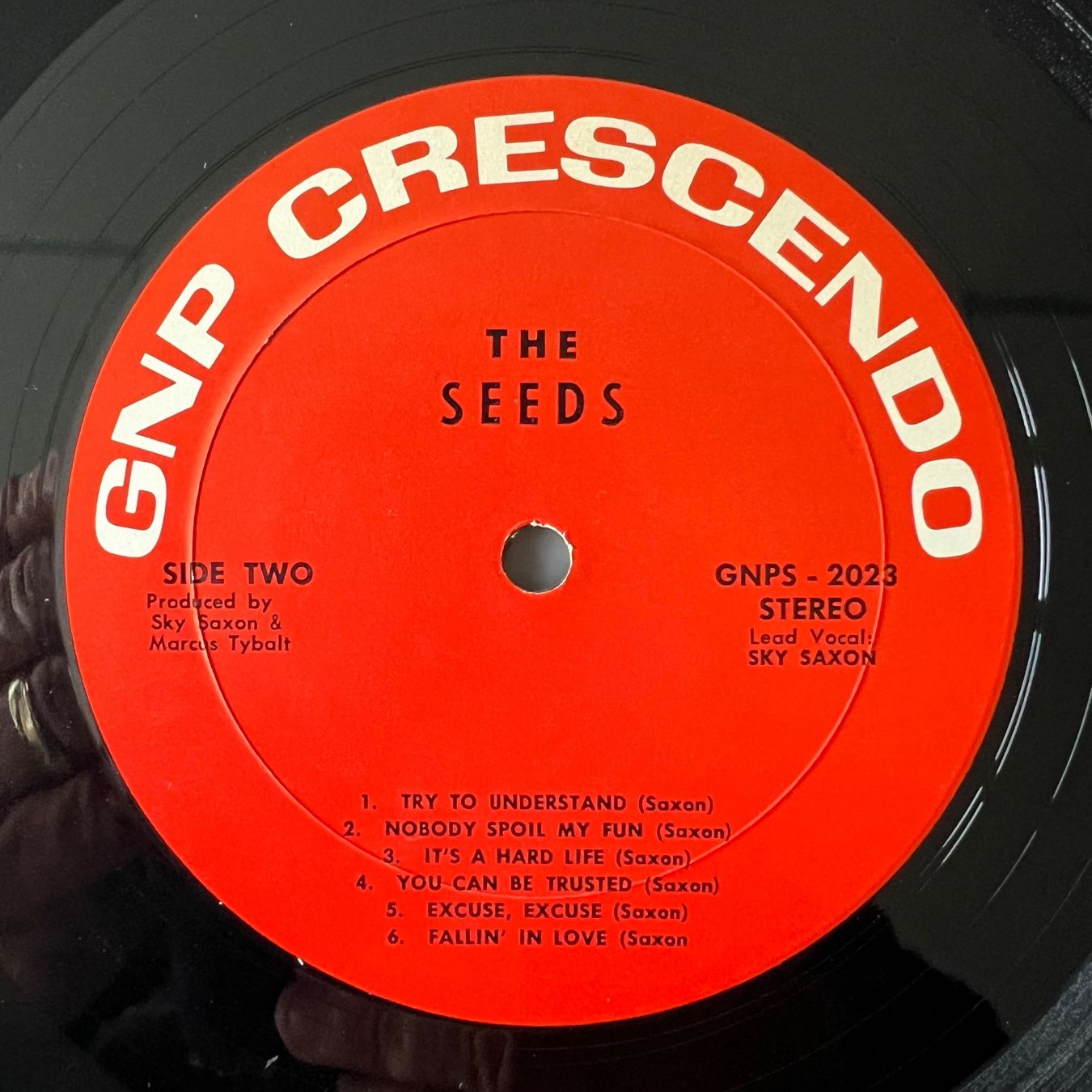 Dischi in vinile: Seeds - Same / US-Press. 1966 - Very nice Copy – Usato da Gais venduto da soundcave57 2