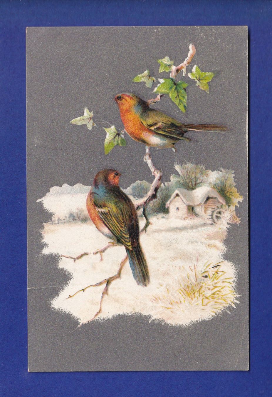 Cartes postales: OISEAU - Rouges-Gorges // pli // – D'occasion à Pully par nicecards-shop