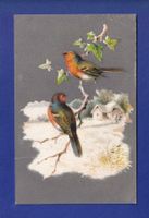 OISEAU - Rouges-Gorges // pli //