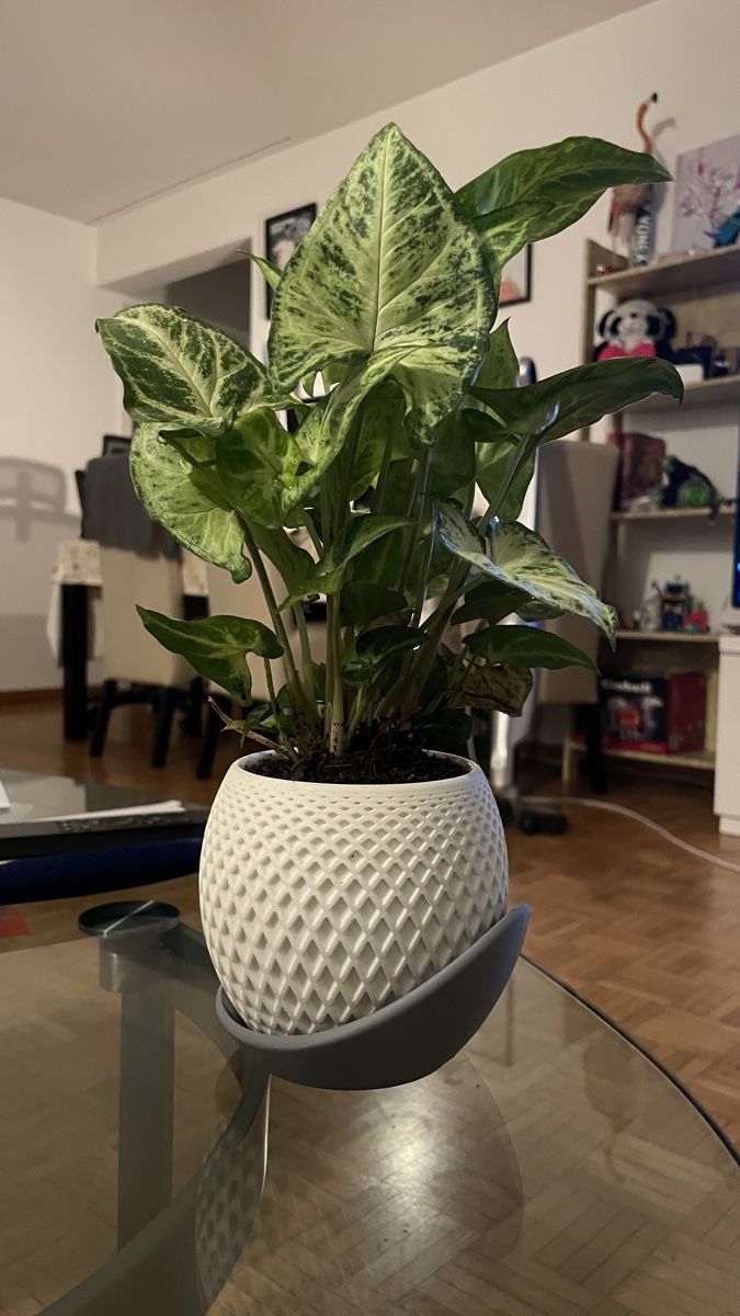 Pots de fleurs: Polygon Planter, Premium 3D Printed – Neuf avec emballage d'origine à Luzern par Vi-Print 1
