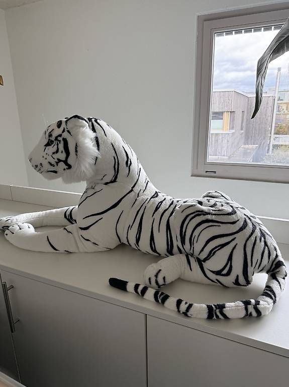 Giocattoli: XXL Tiger  – Usato da Wangen an der Aare venduto da mic_6gdj 1