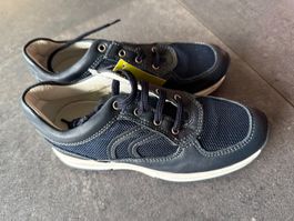 Lederschuhe Gr. 31 NEU Primigi
