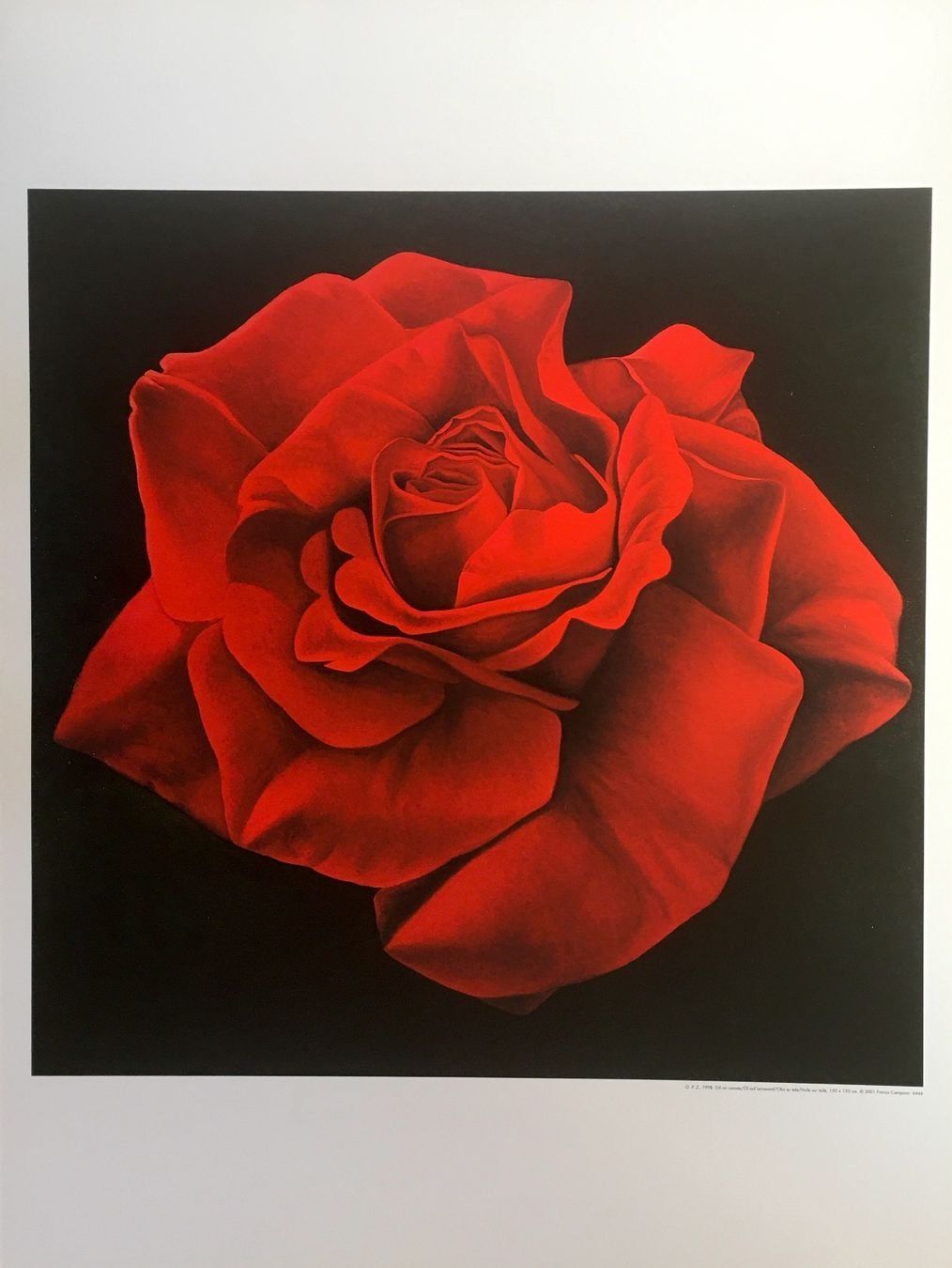 Grafica & Litografie: Franco Campana       4 KUNSTDRUCKE   "Rosen" – Usato da Nennigkofen venduto da Schamane75 6
