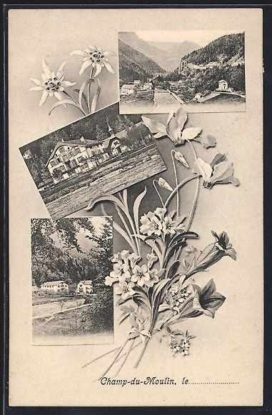 Cartoline postali: Champ-du-Moulin, verschiedene Häuser- u – Usato da Berlin venduto da bartko-reher