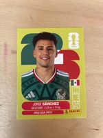 Panini MEX 4