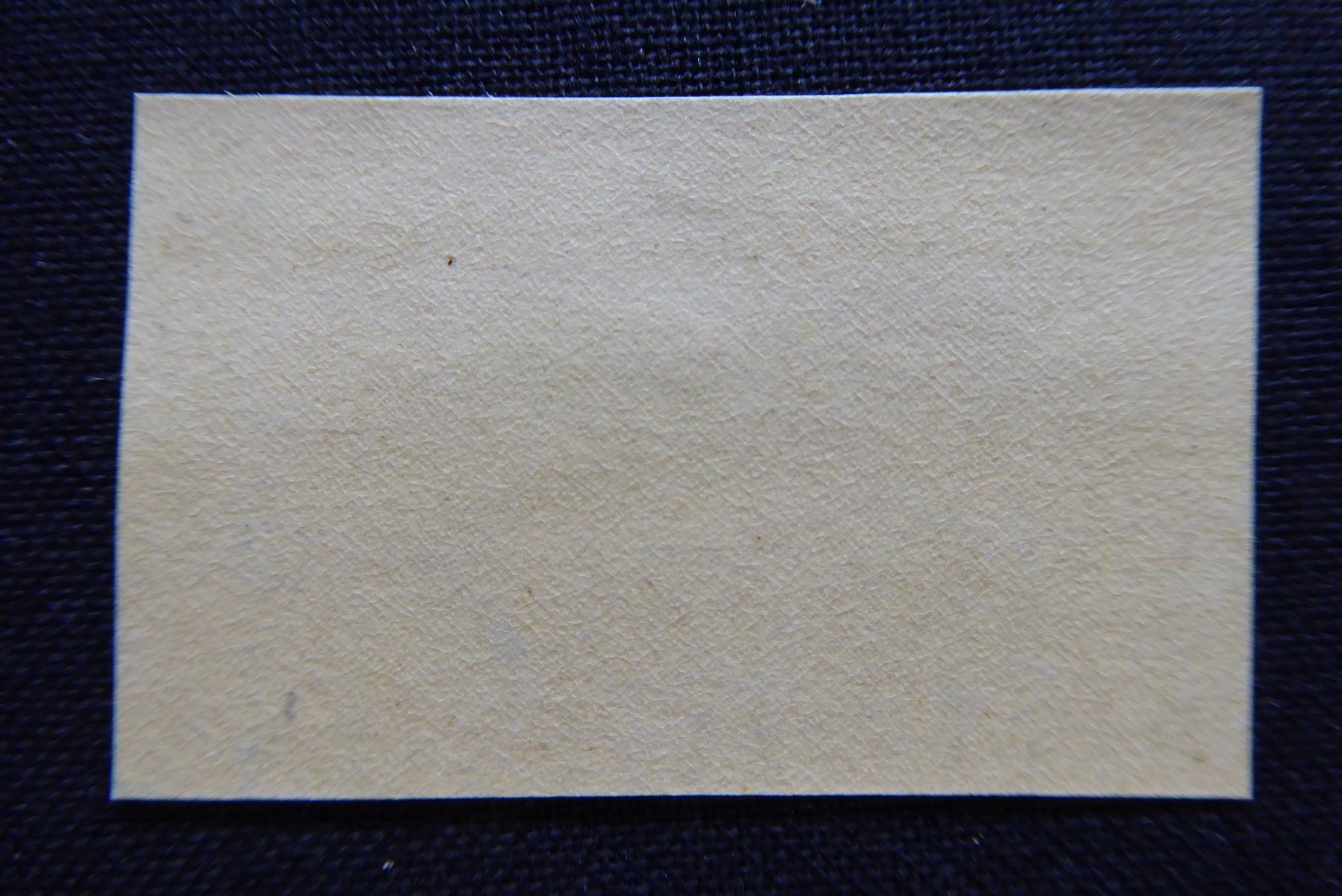 Alle Briefmarken: (m485) Grenztruppen Wit 29/2 ** – Gebraucht aus Basel von scholle50 1