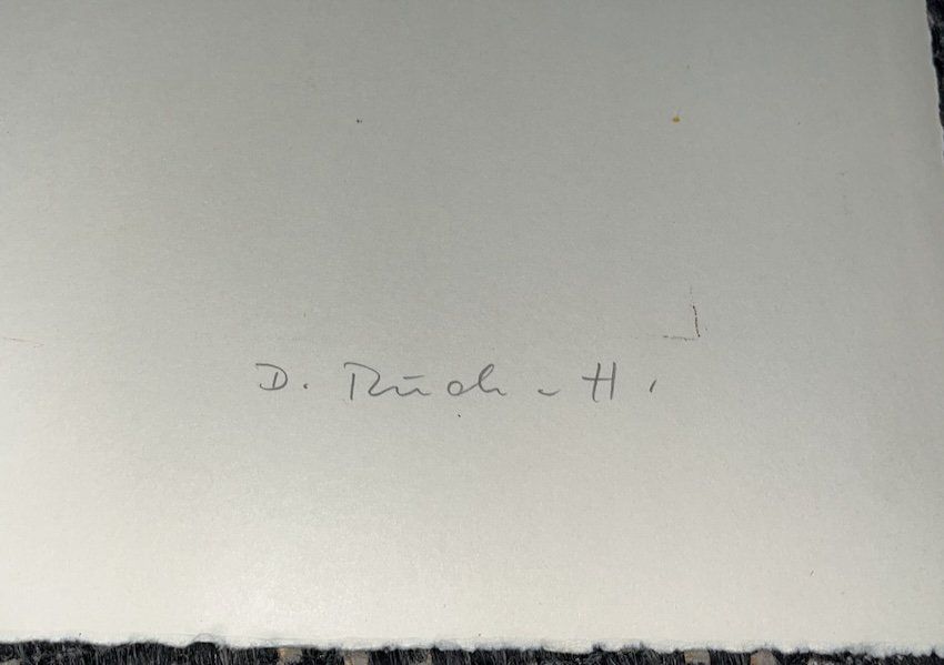 Grafica & Litografie: Lithografie handsigniert Doris Ruch Hummel   (ID b4519) – Usato da Gelterfingen venduto da art-and-more 5