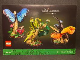 LEGO Ideas Insekten Sammlung 21342 - Neu & ungeöffnet!