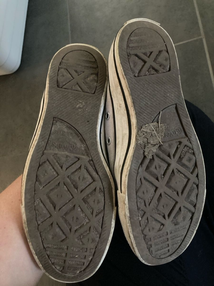 Converse Scarpe per ragazze: Convers gr. 37 – Usato da Bauma venduto da ladygaby 1