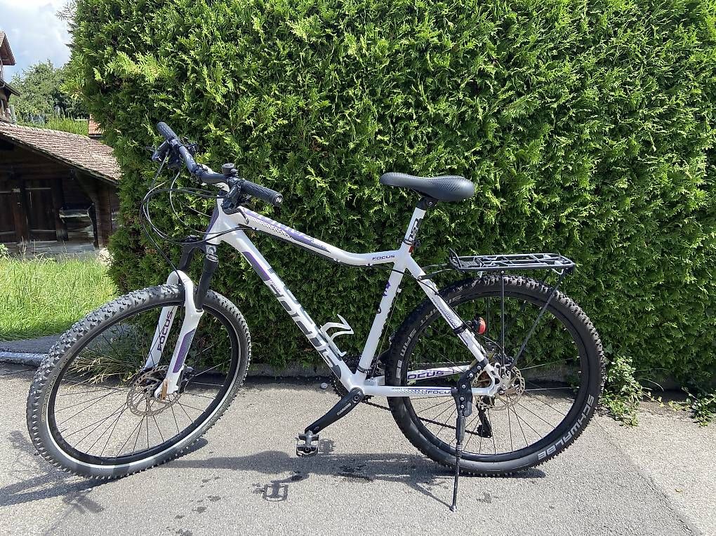 Biciclette: Damenvelo von Focus – Usato da Schaffhausen venduto da Mewi01
