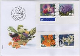 Gemüseblüten Serie auf illustriertem FDC