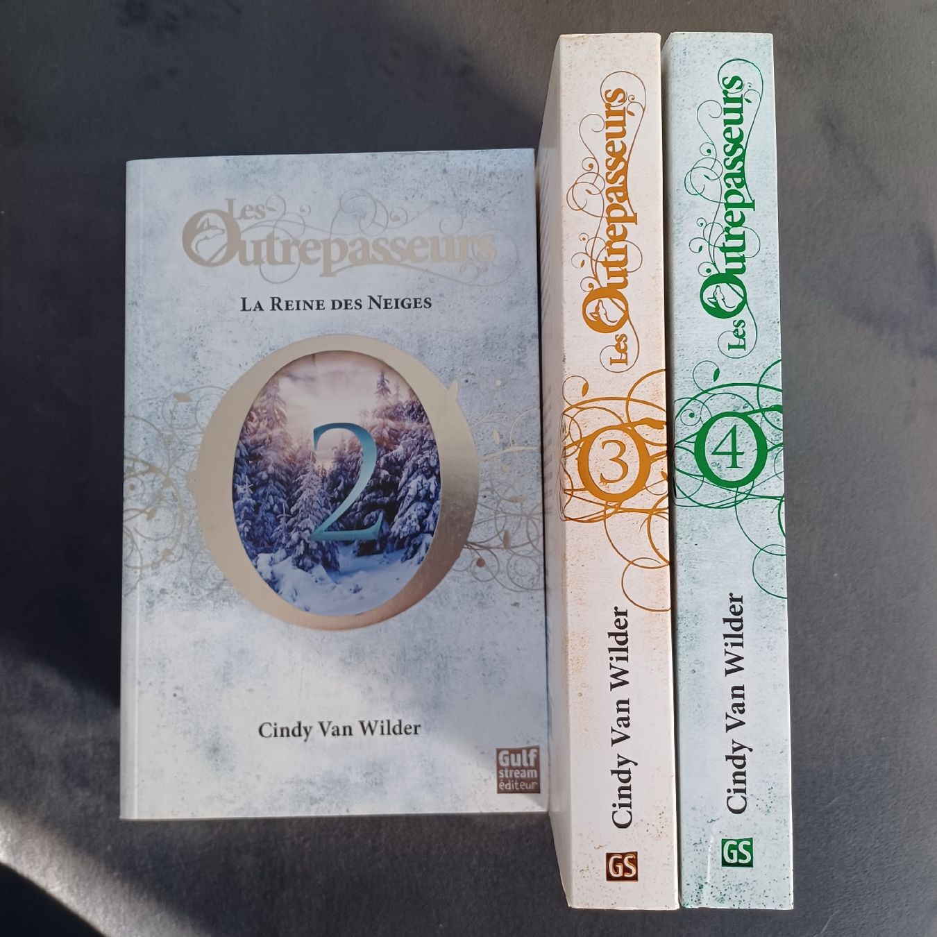 Libri: Les Outrepasseurs - Cindy Van Wilder – Nuovo (secondo la descrizione) da Ardon venduto da lau_f96t 2