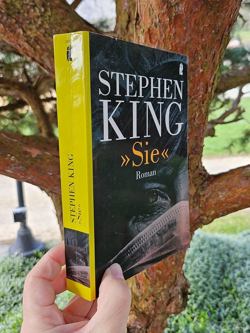 Libri: Buch - Sie /Misery - Stephen King /Horror – Usato da Siblingen venduto da Vany_McDougall 2