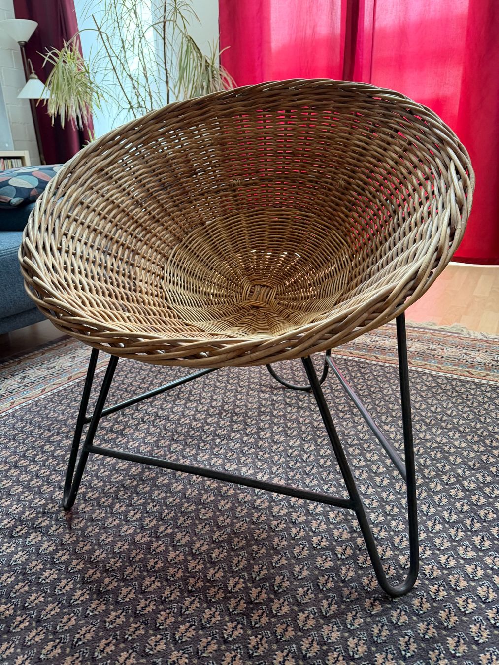 Poltrone: Korbsessel "Acapulco Chair" – Usato da Frauenfeld venduto da Gasssenhauer