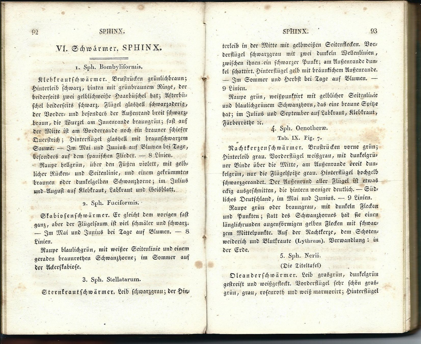 Libri: Schmetterling Buch von 1827 – Usato da Chambesy venduto da Mfluc714 3