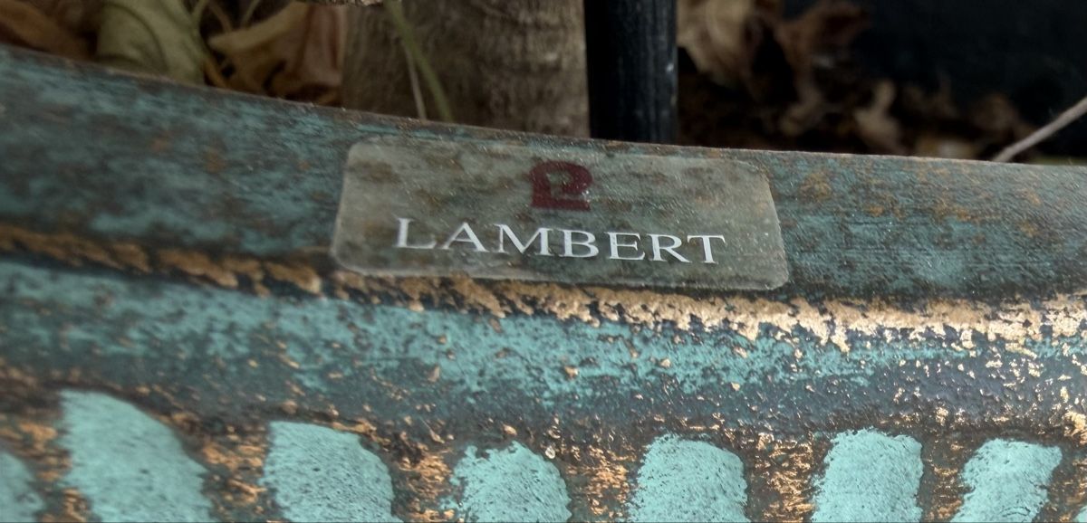 Piante & sementi: Lantana Pflanze im Topf Lambert – Usato da Zürich venduto da joyfulgrace 4