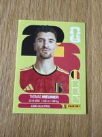 Carte panini 2026