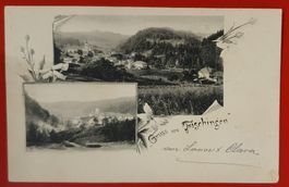 Gruss aus Fischingen 1899