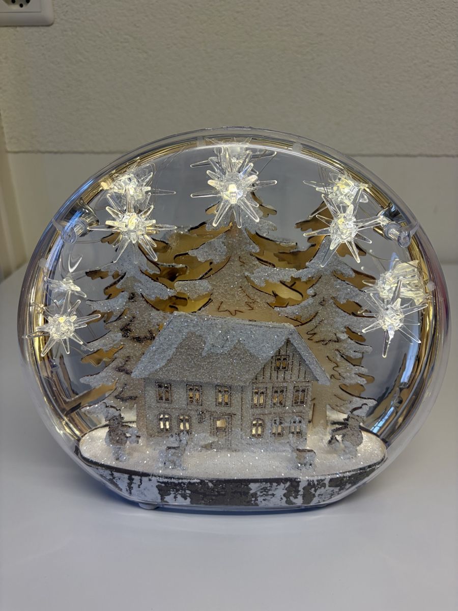 Tutte le decorazioni: Winterdeko Licht – Nuovo (secondo la descrizione) da Zürich venduto da powrpff 4