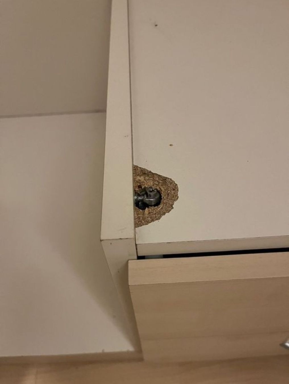 Schränke: Kleiderschrank – Gebraucht aus Dietikon von Funk_Electro 5