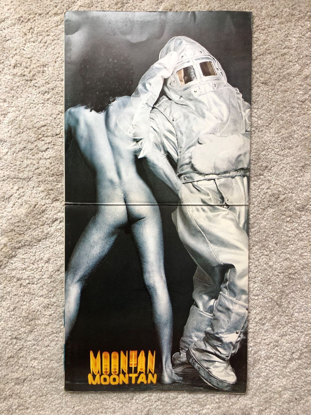 Dischi in vinile: Golden Earring / Moontan – Usato da Genève venduto da NipponiaNippon 2