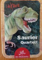 Saurier Quartett Die Spiegelburg