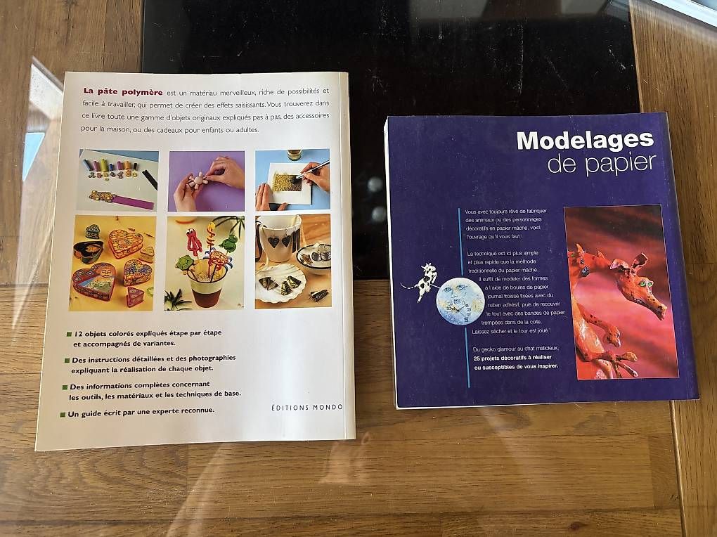Bücher: 2 livres bricolage – Gebraucht aus Perroy von barballalla 1