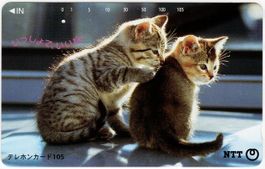 25 verschiedene KATZEN Motiv Telefonkarten aus Japan