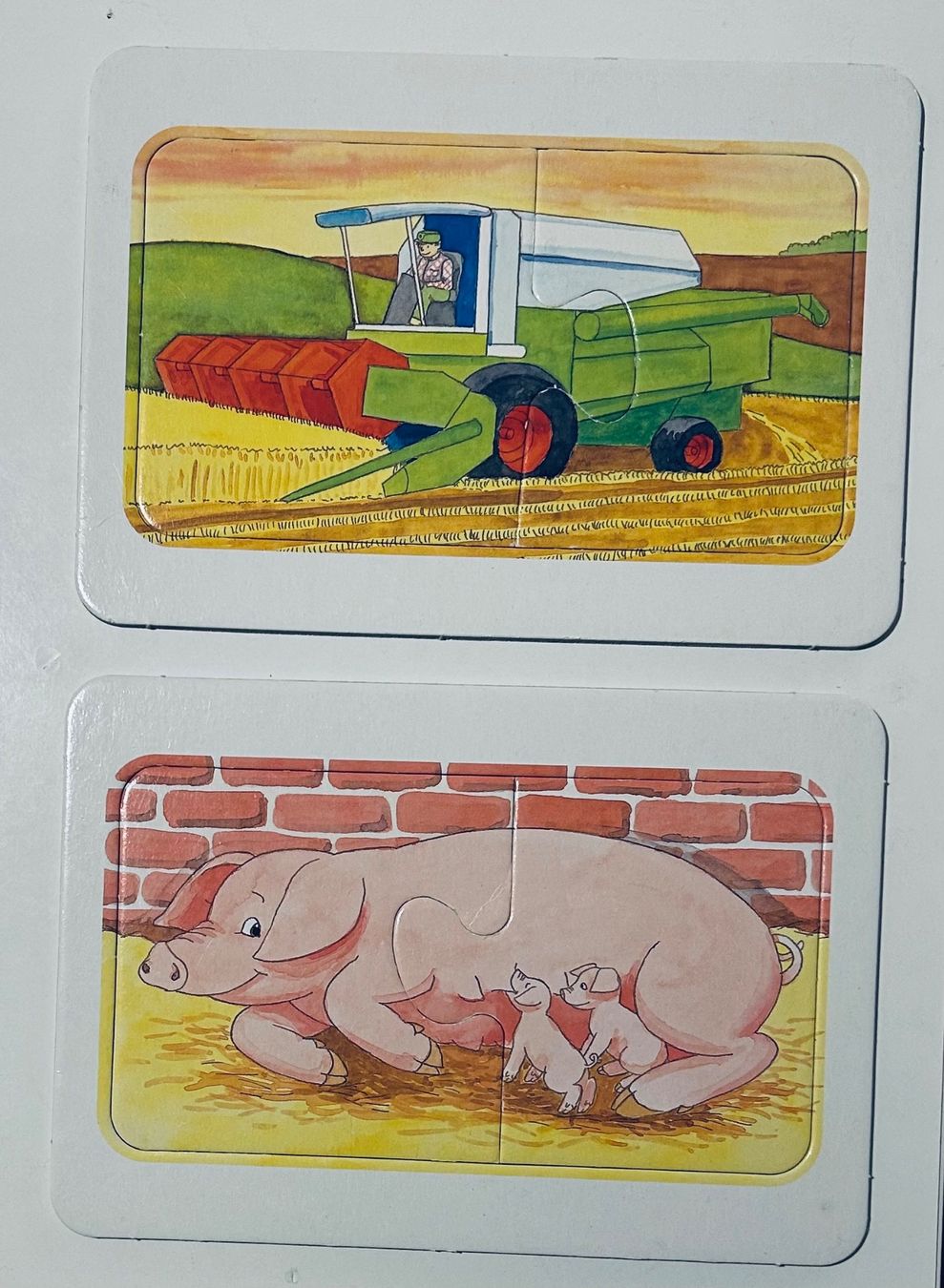 Ravensburger Puzzle: My first Puzzles – Usato da Riedholz venduto da Abendsonne 3