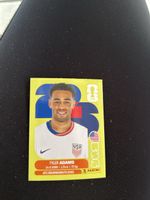 Panini USA 8
