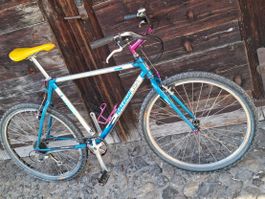 Kult MTB Raleigh